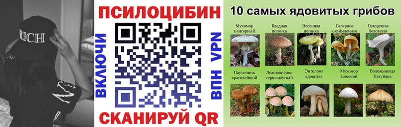 Галлюциногенные грибы GOLDEN TEACHER Ярославль