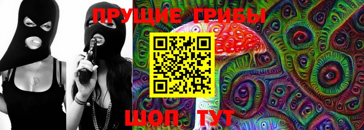 Псилоцибиновые грибы Psilocybe Ярославль